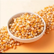 Pop corn / butterfly corn kernel