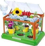 EXBEPE Kids Gardening Kit Greenhouse Growing Terrarium Kit Plant Growing Set Discovery Educational Gardening Gift for Boy &amp; Girl