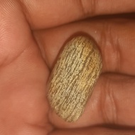 batu mustika kelor putih langka banget jos antik