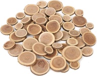BYHER Natural Wood Slices for Crafts 1.2"-2.5"Assorted Unfinished Wood Tree Bark Round Log Discs for