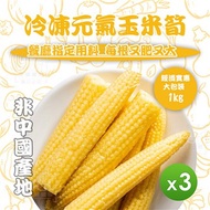 【知名餐廳指定款】冷凍元氣玉米筍(1000g)*3包