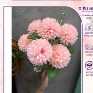 Hoa Gia_Ruffled chrysanthemum cluster with 7 flowers, 6-7cm large flowers