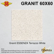 Granit ESSENZA Terrazzo White (60x60)