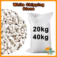 (20kg / 40kg) White Chipping River Pebble Stone Gardening Landscape Decoration Batu Hiasan Putih 鹅卵石