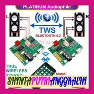 DW1 Modul Bluetooth TWS Amplifier Mini Class D 2X 5W Modul Bluetooth