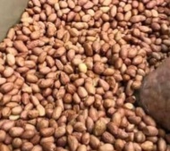 Raw Peanut with Skin / Mani na MAY BALAT  250g