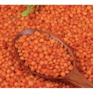 Mysore Dhall 600gm (Dhall Sambar)