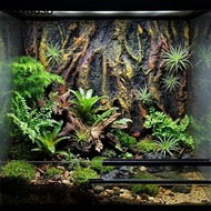 AFXGUSD 3D Rock Aquarium Background Fish Tank Background for Turtle Gecko Tortoise