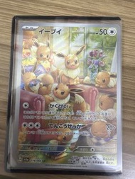 Pokemon卡  寶可夢 伊布 AR 卡片