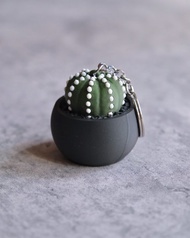 星兜按键鎖匙扣 鑰匙圈/吊飾/多肉塊根植物/送禮/辦公室擺設/盆栽