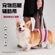 Pet Walking Auxiliary Products