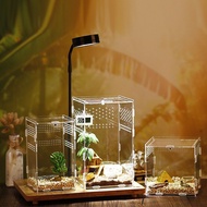 HOT Reptile Breeding Box Terrarium Cage Tank for Tarantula Scorpion Sling Isopods Lizards Terrarium 