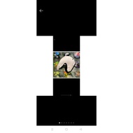 shoei j stream j fork