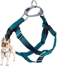 2 Hounds Design Freedom No-Pull No Leash Harness Only, 5/8-Inch, X-Small, Teal