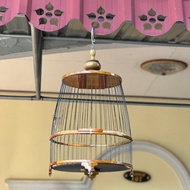 กรงกลม ไม้สัก เรียบ ก้านร่ม หัวโบกี้ 1899