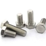 10 stainless steel bolts (304) of all sizes from 8mm to 12mm with lengths from 2cm to 12cm (Includin