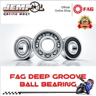 FAG Bearing Small Bearing Deep Groove Ball Bearing 6301 6302 6303 6304 6305