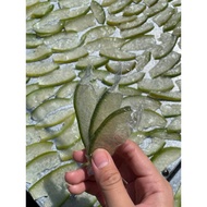 Vietnam pp glass paper with import