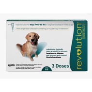 HIJAU REVOLUTION FOR DOG TEAL / GREEN Price Per 1 Tube (18KG - 38KG / 40.1LBS - 85LBS / 2ML) - DOG F