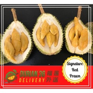 [Durian 36] Group Buy Special | Fresh Durian Delivery | Red Prawn King