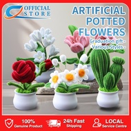 【Next-day delivery】Artificial Plants Potted Fake Flower Potted Flowers Birthday Graduation Gift