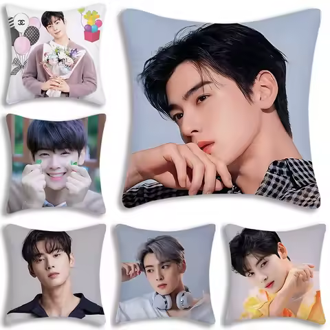 Pillow Covers Popular Korean Actor Cha EunWoo Sofa Decorative Home Double-sided Printing Short Plush
