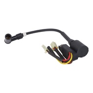 【VARSTR】Lgnition Coil for for Inverter for Generator EF2000iS 1600 2000 for Watts