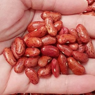Bahan Dasar / Kacang Merah Super Import 1 Kg / Kacang Merah Jogo