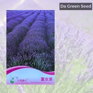 [Ready Stock] Lavender Seeds Biji Benih Lavender 薰衣草种子