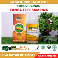 Qnc Jelly Gamat Jelly 300ml Contents | 100% Original Guarantee