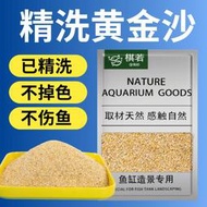 台灣出貨 免洗黃金沙狗頭魚魚缸造景底砂裝飾石頭南美底沙化妝沙三湖水