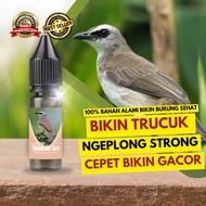 TRUCUK VIT COCAK JAWA MULTIVITAMIN BIKIN CEPAT GACOR 2 TETES BERKHASIAT GACOR TIAP HARI