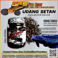 Udang Setan Black Pakan Channa Asiatica Original