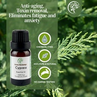 Natural Cypress Essential Oil