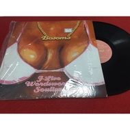 J-Live Wordsworth-Soulive-Bosoms 12 Inch LP PinHaiMusic B171 Shop
