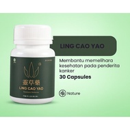 LING CAO YAO original Capsules Herbal Medicine for Treating Breast CANCER, Cervical, Prostate, Lungs