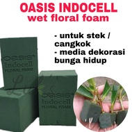 OASIS INDOCELL wet floral foam media tanam cangkok stek