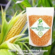 New Benih Jagung Hibrida Super