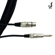 6 Meter Akai 6.5mm to XLR Canon Female Mono Beyer ISO200LU6 Audio Jack Cable