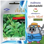 CHIATAI 🇹🇭 ผักซอง เจียไต๋ กะเพราป่า O027 ประมาณ 2,970 เมล็ด เมล็ดพันธุ์ผัก กระเพรา เมล็ดผัก เมล็ดพืช