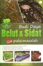 Budi Daya Belut & Sidat Gak Pake Masalah