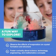 4M COLOUR CHANGING DISPLAY CASE Science Toys
