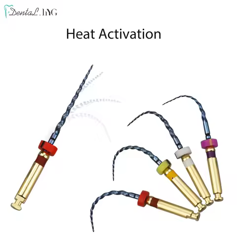 6pcs/Box Dental Heat Activated Canal Root Files SX-F3 21mm Dentist Tools Can Bend for Preparing Root