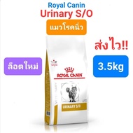 Royal Canin Urinary S/O 3.5kg แมวโรคนิ่ว นิ่วแมว ขนาด 3.5 กิโลกรัม