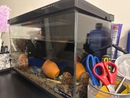 小米智能魚缸
