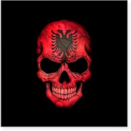 CafePress Albanian Flag Skull On Black Sticker Square Bumper Sticker Car Decal