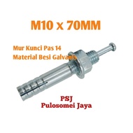 High Anchor M10 x 70 High Anchor/ Dynabolt Knock/ Hit Anchor/ M10 Bolt Anchor Bolt