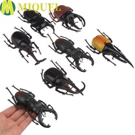 MIQUELZA Simulation Beetle Science Toy Insect Toy Simulation Animals Teaching Aids Beetle Figures Fa