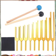 Tuning Forks Set 9Pcs 174/285/396/417/528/639/741/852/963Hz Tuning Fork, Sound Healing Tool Set for 