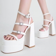 Women Sandals Summer Thin High Heels Female Platform Sandals Women Pumps Shoes Buckle Stripper Night